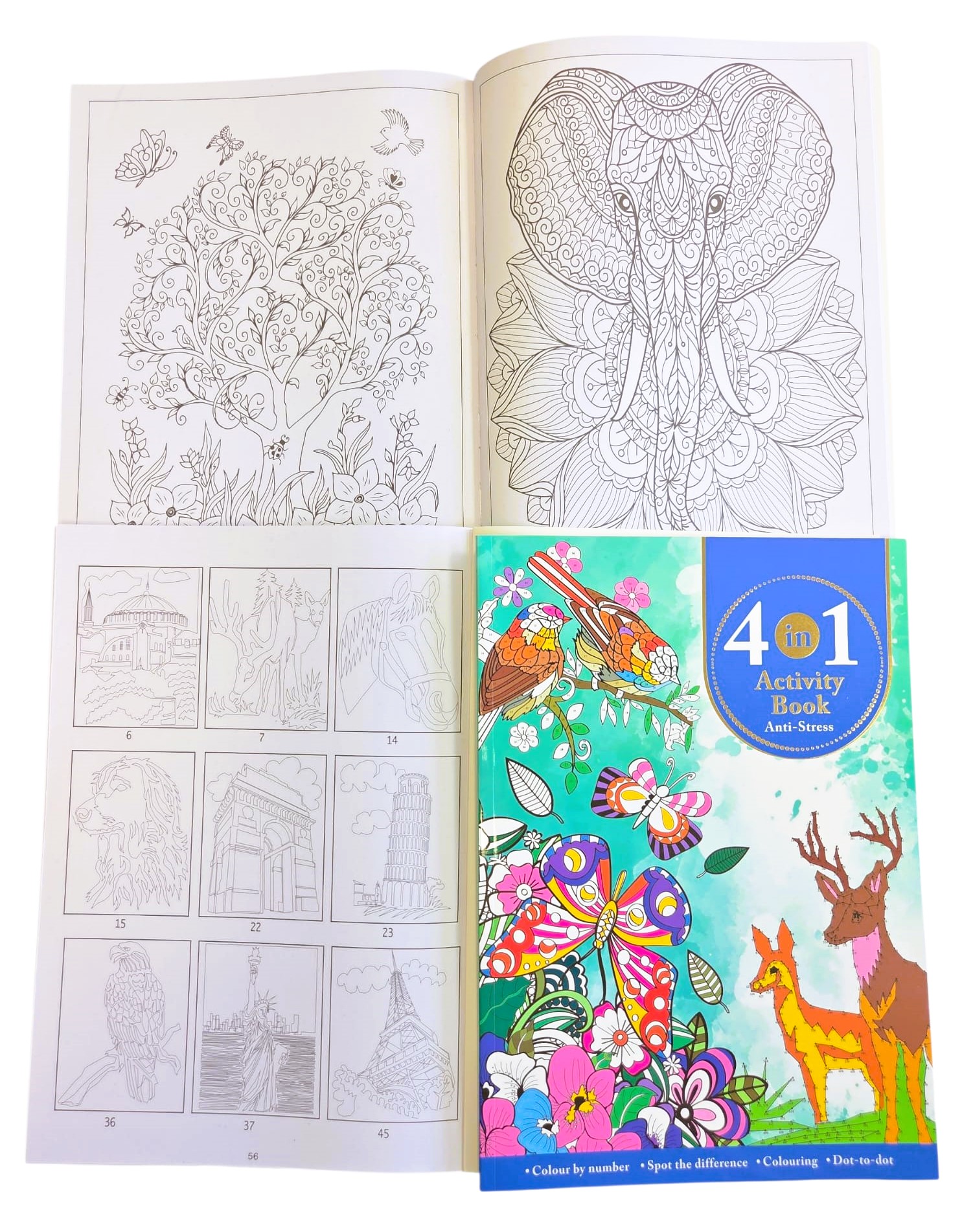 WhatsApp Image 2025-09-16 at 10.50.36 (3)